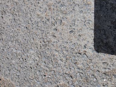 Iridomyrmex suchieri photo 22